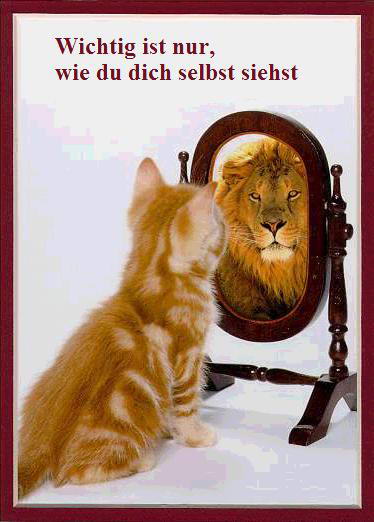Datei:Katze sieht sich als Loewe.jpg